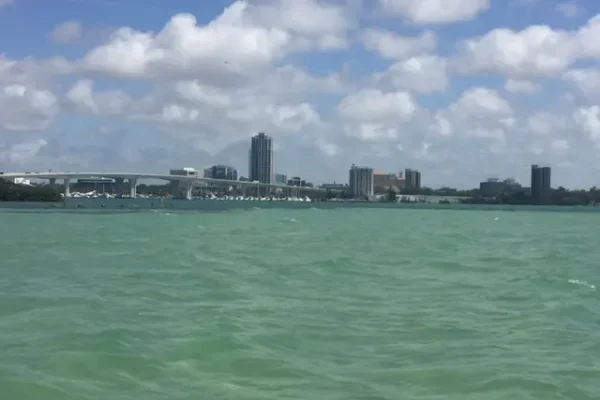 Clearwater SAV Survey