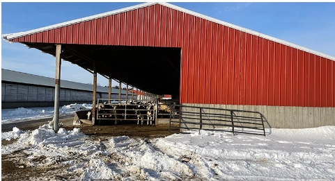 EL VI Farms